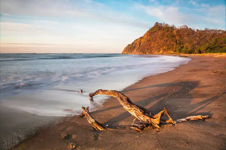Why Invest in Papagayo?